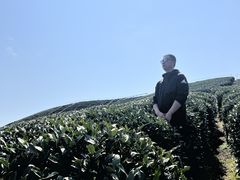 -龙坞茶村