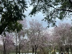 -麦当劳(大塘湖景分店)