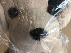 -芭比堂动物医院·CT·微创中心(新顺分院)