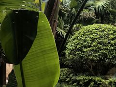 -海兰云天度假区温泉