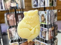 -青藏高原野生动物园