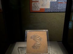 -温州博物馆