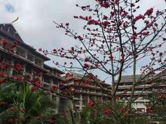 -海口万豪·大堂吧·望海吧.日落海景·下午茶·奶茶·咖啡·轻食·蛋糕·鸡尾酒·清吧