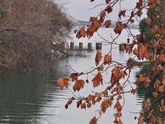 -东湖生态旅游风景区