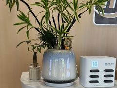 -合肥美奥口腔·种植矫正中心(政务院)
