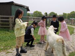 -田园东方蜜桃村的田野营地