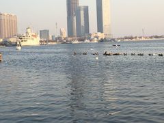 -海河外滩公园
