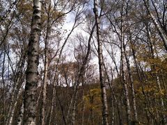 -叠溪松坪沟景区