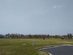 -春花秋色城市公园