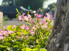 -长发西饼(道前店)