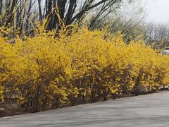 -燕郊植物园