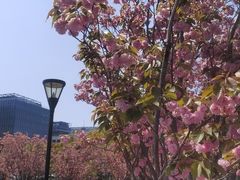 -上海山野camping·户外天幕烧烤·团建拓展营地