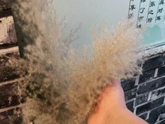 -老成都·古法采耳·禅洗头疗(四川总店)