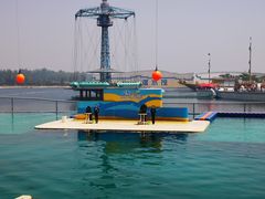 -秦皇岛乐岛海洋王国