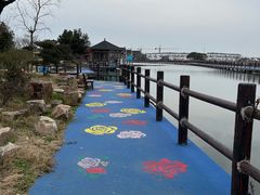 -鹅湖玫瑰文化园