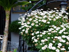 -转山咖啡(松柏社区店)