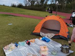 -春花秋色城市公园