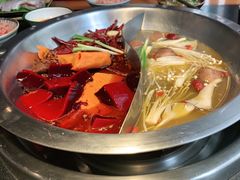 -王婆乔鲜鱼自助火锅(蜀汉路店)