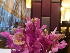 -阿诺泰·泰国餐厅(紫荆店)