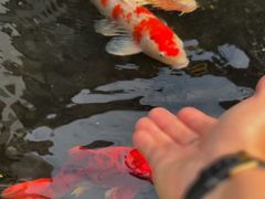 -聚福宝合苑食府(南头镇店)