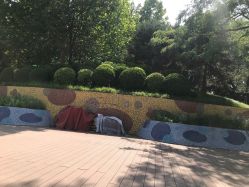 -酷酷兔少儿拓展天地