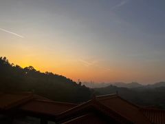 -深圳仙湖植物园