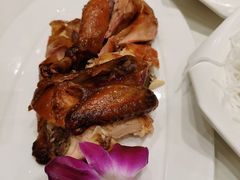 凯鸽风沙鸡-凯鸽酒楼(大同振兴街店)