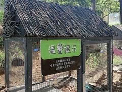 -欢乐松鼠谷
