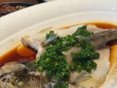 -千日贺茶餐厅(高新万达店)