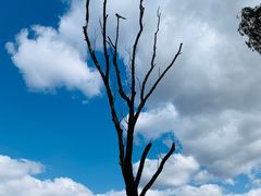 -野鸭湖国家湿地公园