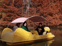 -上海海湾国家森林公园