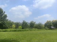 -大望京公园