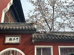 -长春观