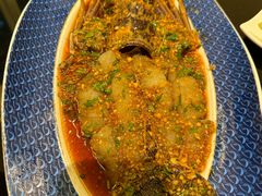-大浪潮·潮汕菜·招牌生腌小青龙(福田店)