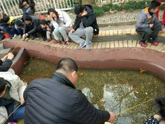 -鲁迅公园-垂钓中心