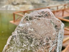 -上海吴淞炮台湾国家湿地公园