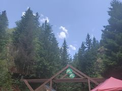 -芦芽山旅游度假区
