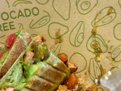 -油梨树AVOCADO TREE(望京店)