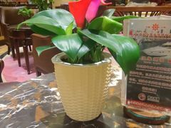-唐苑酒家·岭南粤菜名店(太古仓店)