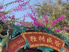 -独树成林