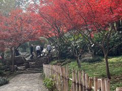 -岳麓山风景名胜区