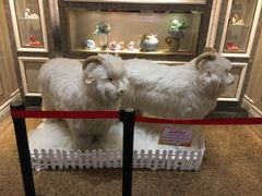 -新兴家喻酒家·羊城名宴(昌岗店)