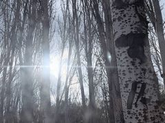 -吉林大学前卫校区南区-日新楼