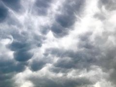 -宏记广东客家菜(丰汇店)