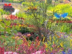 -上海共青森林公园