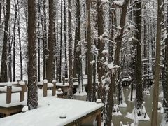 -东湖落雁景区