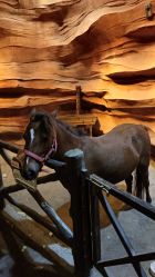 -酷嗒动物文化乐园(cutezoo西溪乐天城店)