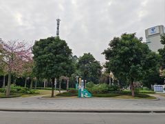 -广州七星岗古海岸遗址科学公园