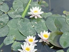 -洛阳市隋唐城遗址植物园