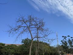 -广东金融学院(校本部)